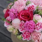 Pink Rose Flowers2