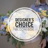 Designer’s Choice | Bloom Box