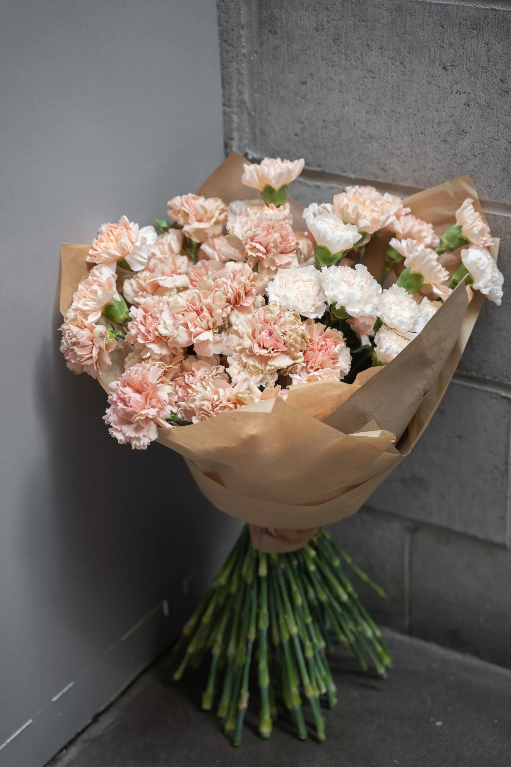 carnations flower delivery 1