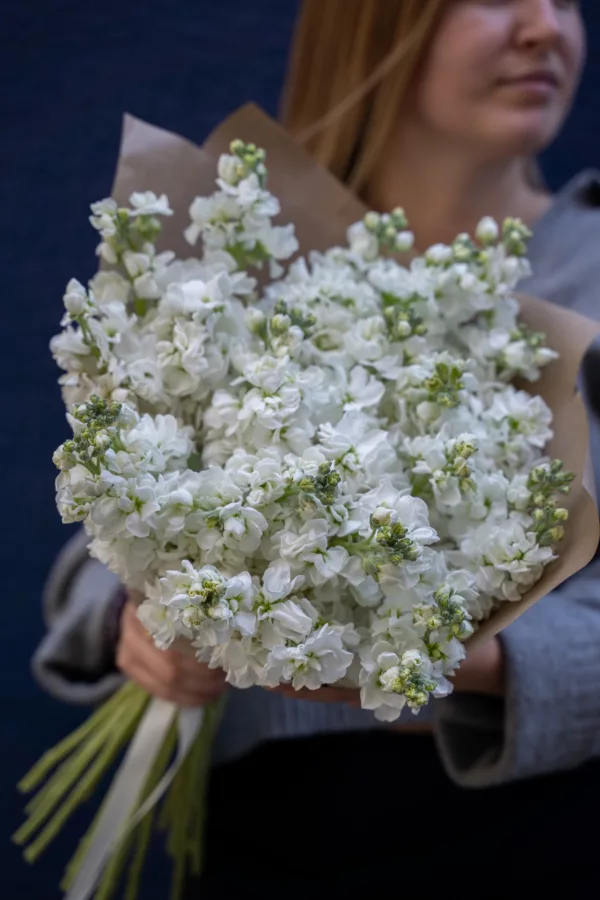 White stock flower mono bouquet