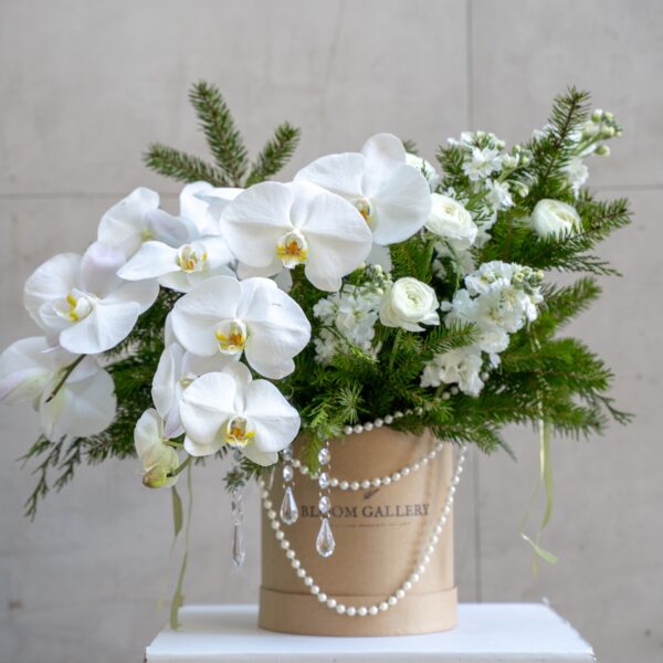 Arctic Orchid | Large Bloom Box