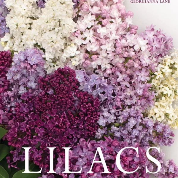 Lilacs: Beautiful Varieties | Book