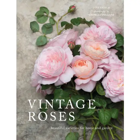 Vintage Roses: Beautiful Varieties | Book