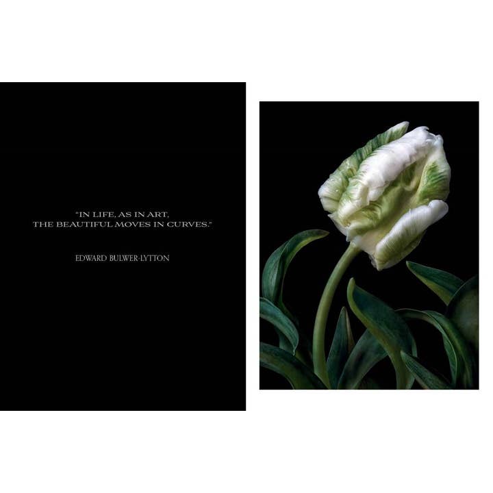 Beauty In Bloom | Book 2 Beauty in Bloom - preview 1