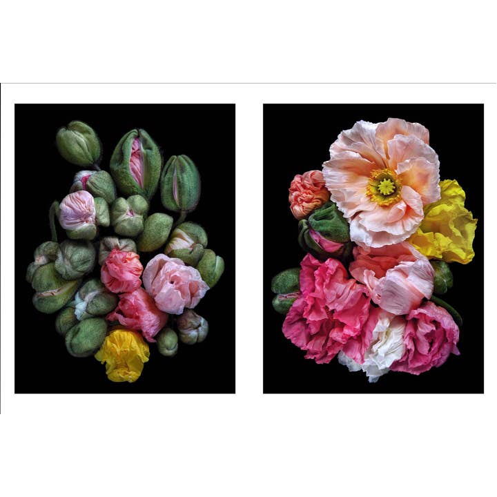 Beauty In Bloom | Book 3 Beauty in Bloom - preview 2
