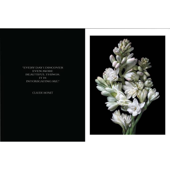 Beauty In Bloom | Book 4 Beauty in Bloom - preview 3