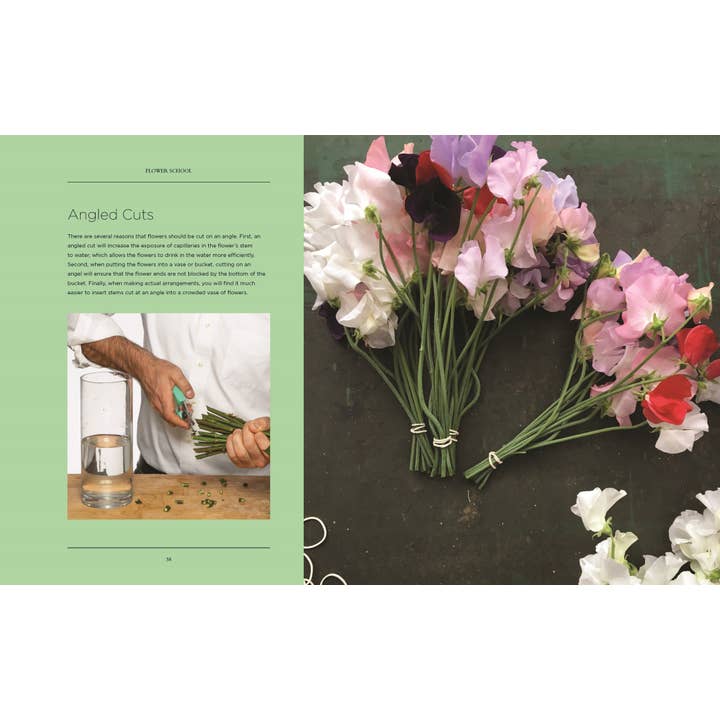 Flower School | Book 10 Flower School - preview 9
