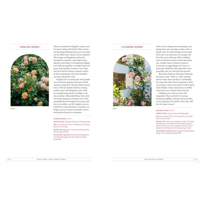 Grace Rose Farm: Garden Roses | Book 3 Grace Rose Farm: Garden Roses - preview 2