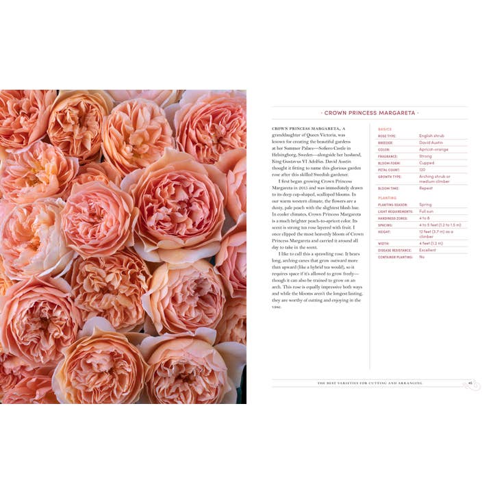 Grace Rose Farm: Garden Roses | Book 4 Grace Rose Farm: Garden Roses - preview 3