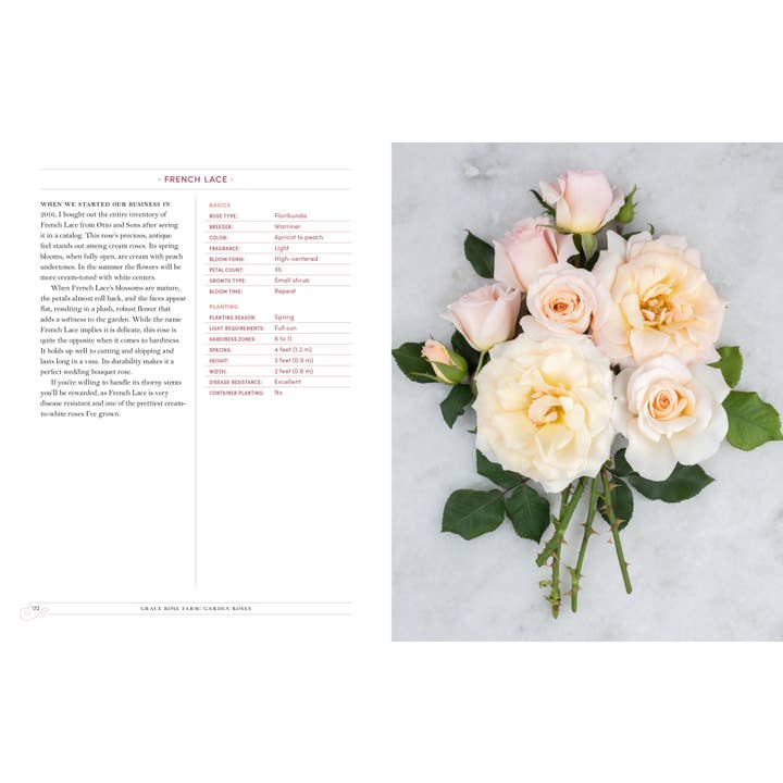 Grace Rose Farm: Garden Roses | Book 6 Grace Rose Farm: Garden Roses - preview 5