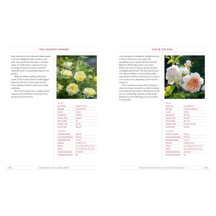 Grace Rose Farm: Garden Roses | Book 7 Grace Rose Farm: Garden Roses - preview 6
