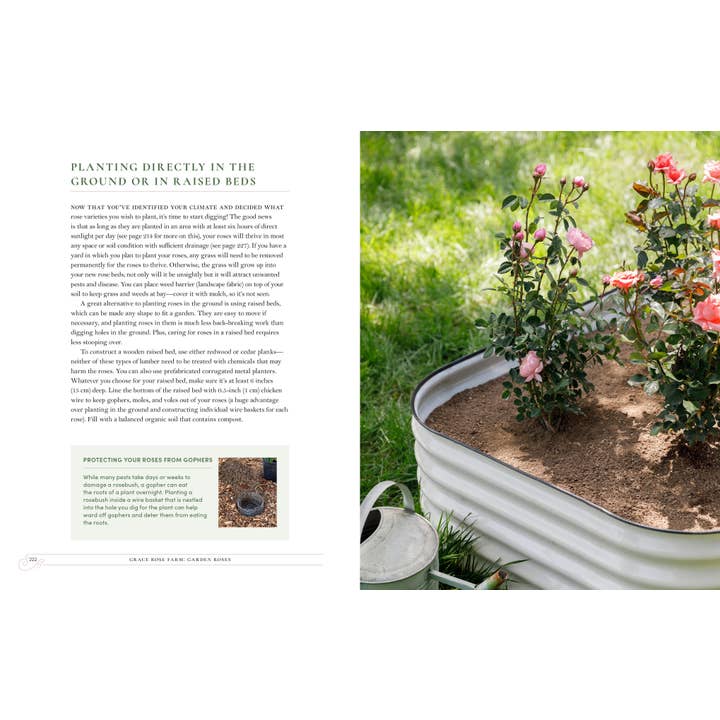 Grace Rose Farm: Garden Roses | Book 8 Grace Rose Farm: Garden Roses - preview 7