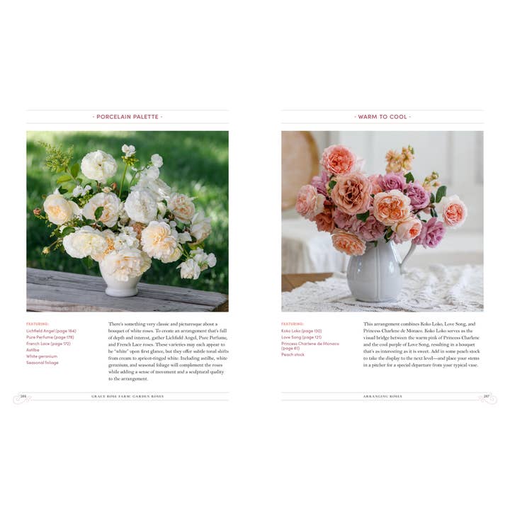 Grace Rose Farm: Garden Roses | Book 10 Grace Rose Farm: Garden Roses - preview 9