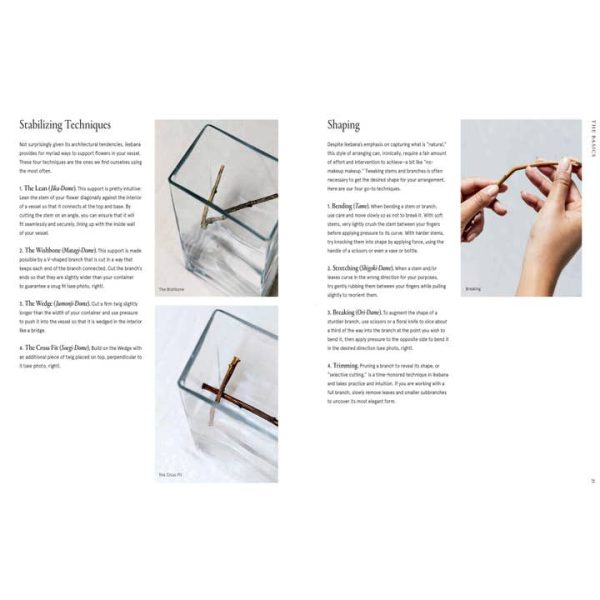 Ikebana Unbound - preview 1
