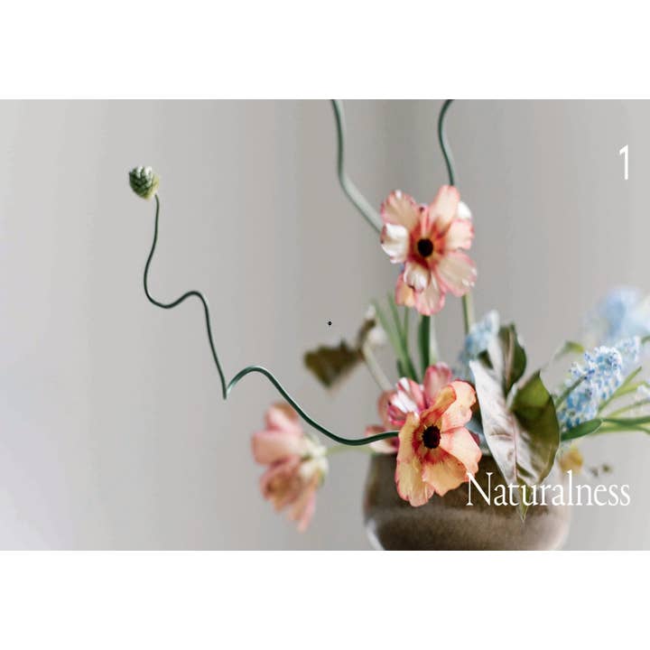 Ikebana Unbound | Book 4 Ikebana Unbound - preview 3