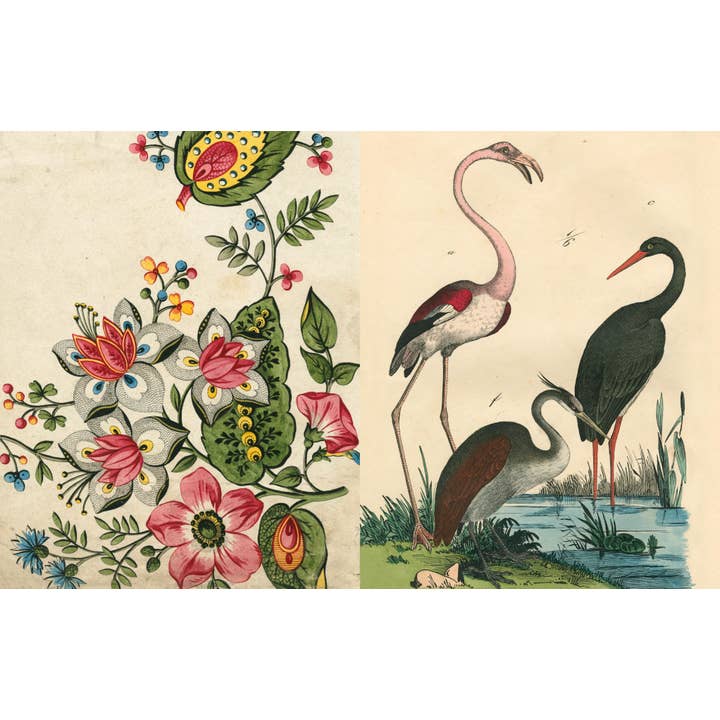 John Derian Picture Book Ii | Book 9 John Derian Picture Book II - preview 8